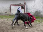 747. 150707. 34. Curro Jiménez en una tienta de vacas bravas en Salamanca. (Foto, Manuel Osuna).
