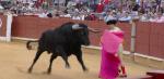 765. 150408. 02. Oreja para Curro Jiménez en Los Califas de Córdoba. (Foto, Álvaro González).