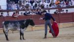 795. 150709. 39. Miguel Ángel Serrano corta dos orejas en Cabra. (M. Osuna).