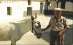 818. 010710. 24. Antonio Durán con su burro.