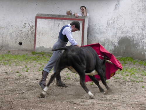 747. 150707. 34. Curro Jiménez en una tienta de vacas bravas en Salamanca. (Foto, Manuel Osuna).