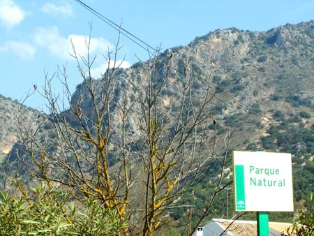 764. 010408. 17. Parque Natural de las Sierra Subbéticas.