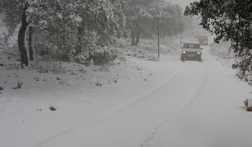 736. 010207. 28. Temporal de frío y nieve el dia  25 de enero. En la foto el camino de Sierra Cristina.