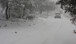 736. 010207. 28. Temporal de frío y nieve el dia  25 de enero. En la foto el camino de Sierra Cristina.