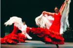 745. 150607. 21. Ballet Flamenco de Sebastián Leal.