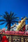 0352.120492. Domingo de Ramos. La Pollinica.