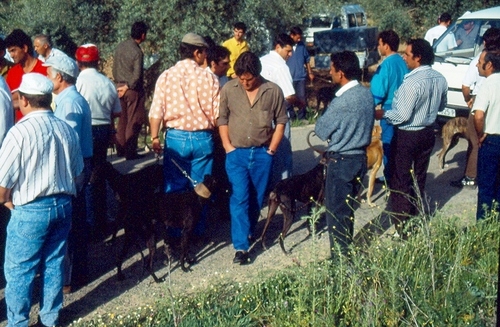 0579.010592. Carrera de galgos. Esparragal.