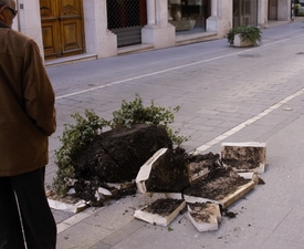 Macetero destrozado en la calle Ribera